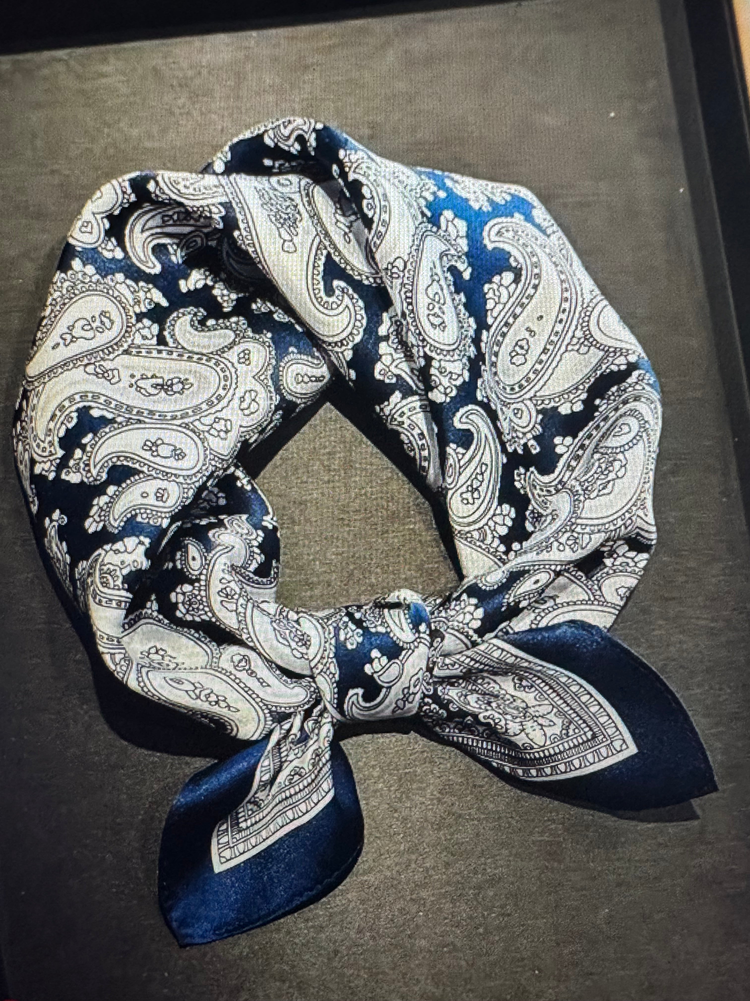 The Versatile Silk